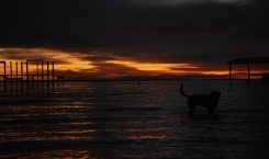 Sunrise on Mobile Bay